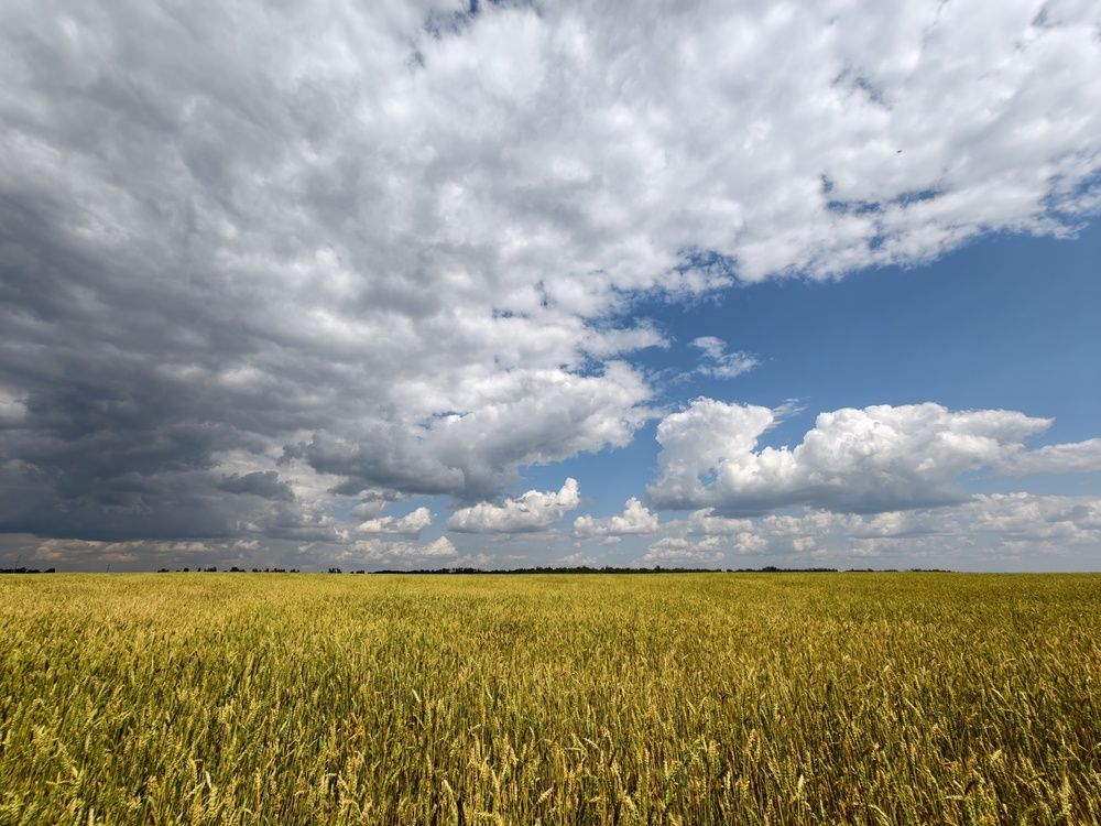 Photograph by Сергей Горбунов