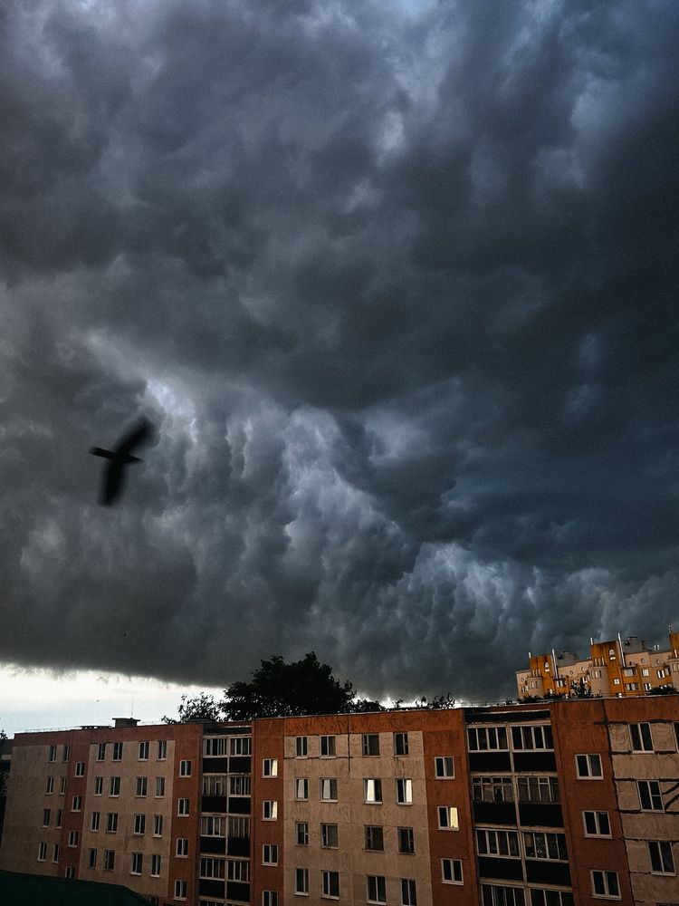 Photograph by Вася Кондратов