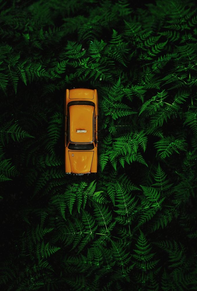 Фотография автора Anindo Rudro