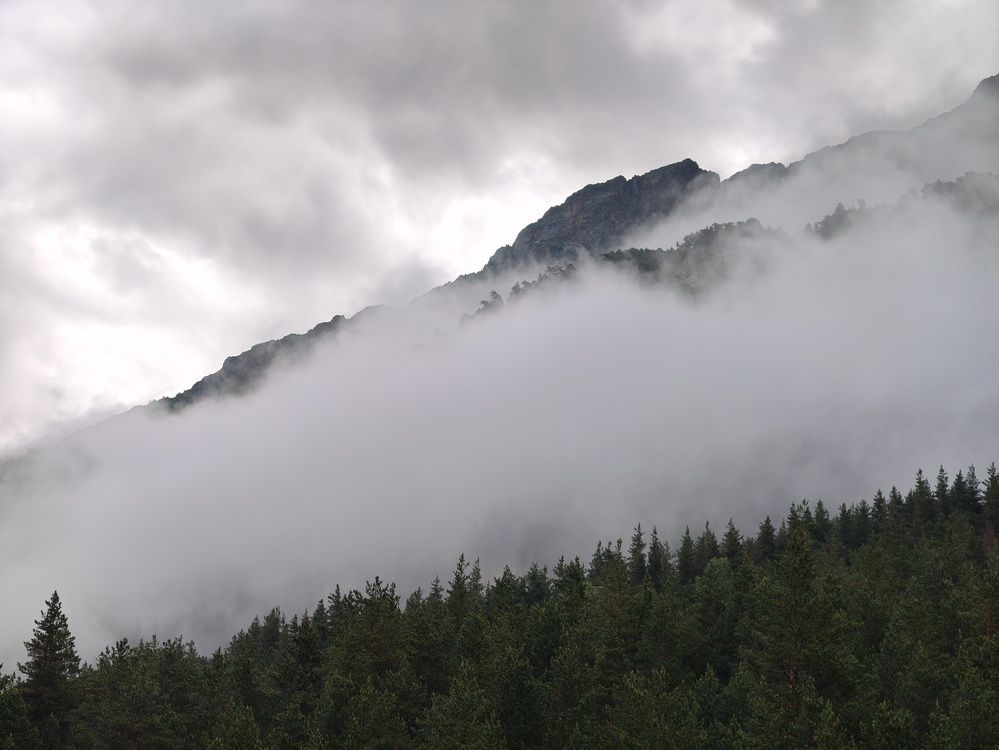 Photograph by Тимофей Самсонов