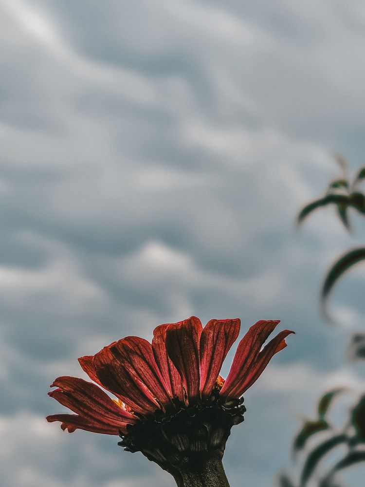 Photograph by Татьяна Небрат