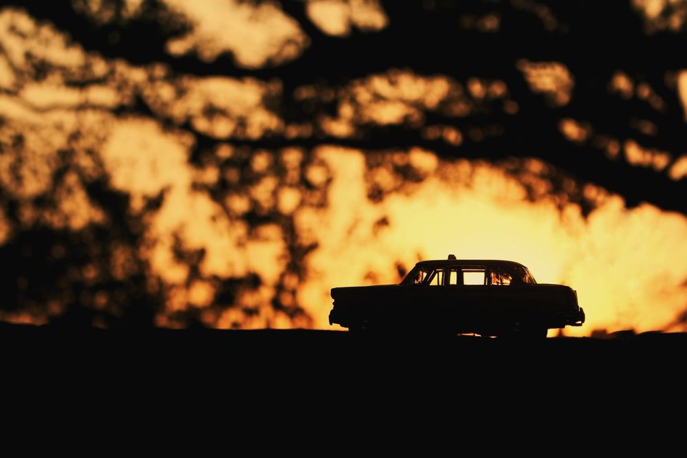 Фотография автора Anindo Rudro