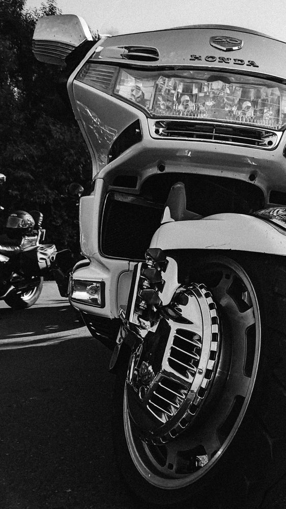 Photograph by Евгения Гродинская