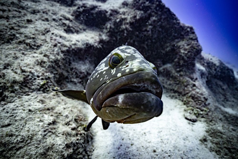 Photograph by Дмитрий Плотников