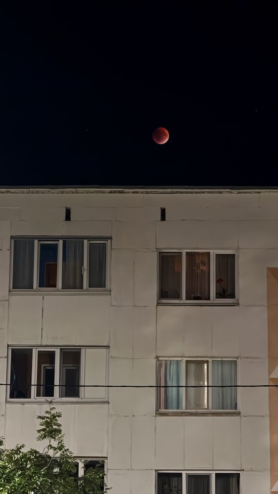 Фотография автора Карина Даутова