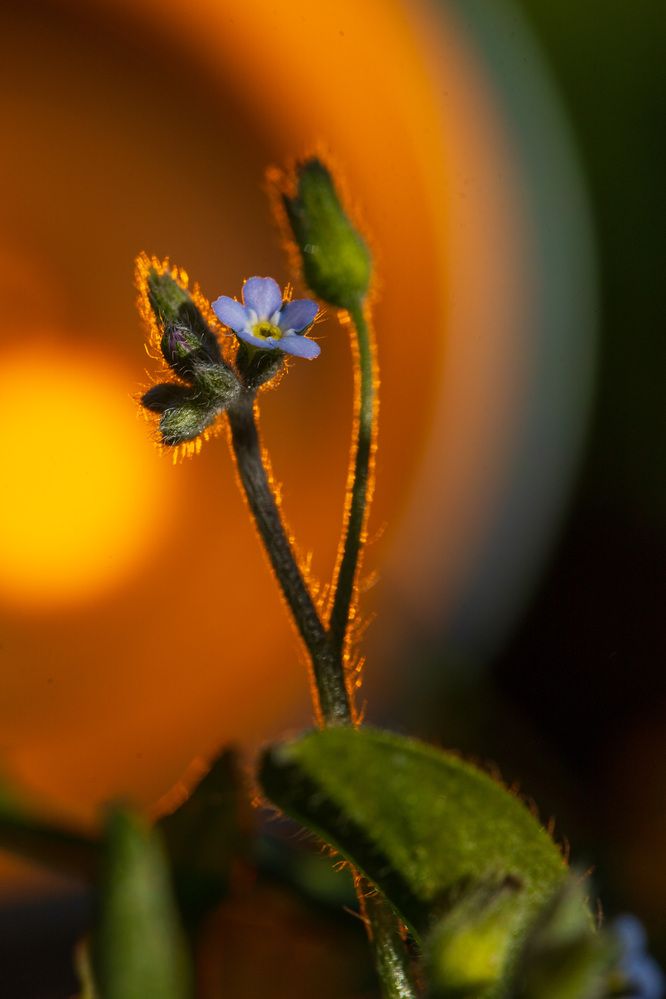 Фотография автора Артём Малышев
