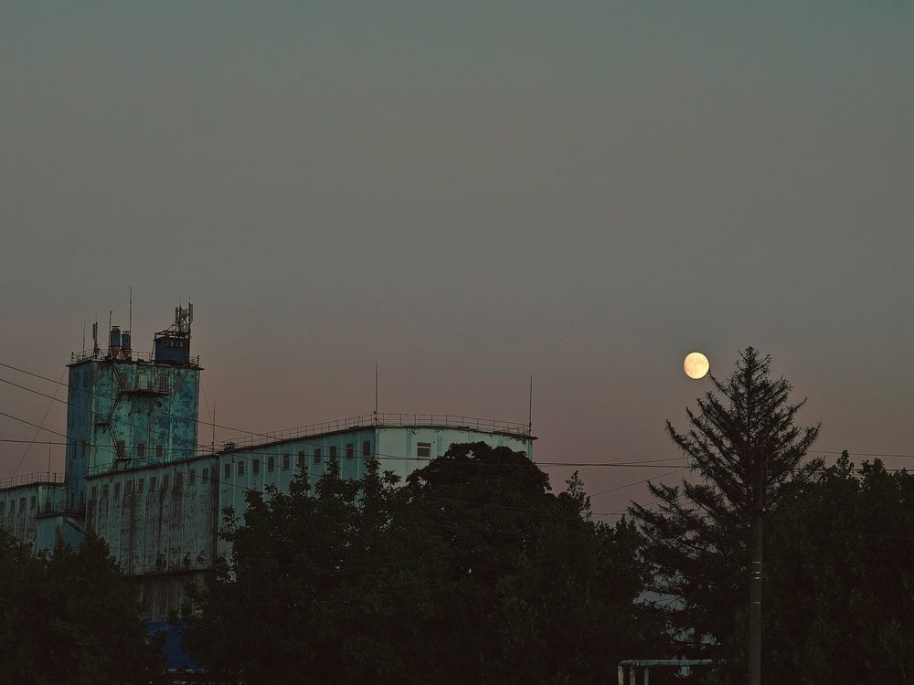 Фотография автора OXANA NAUMOVA