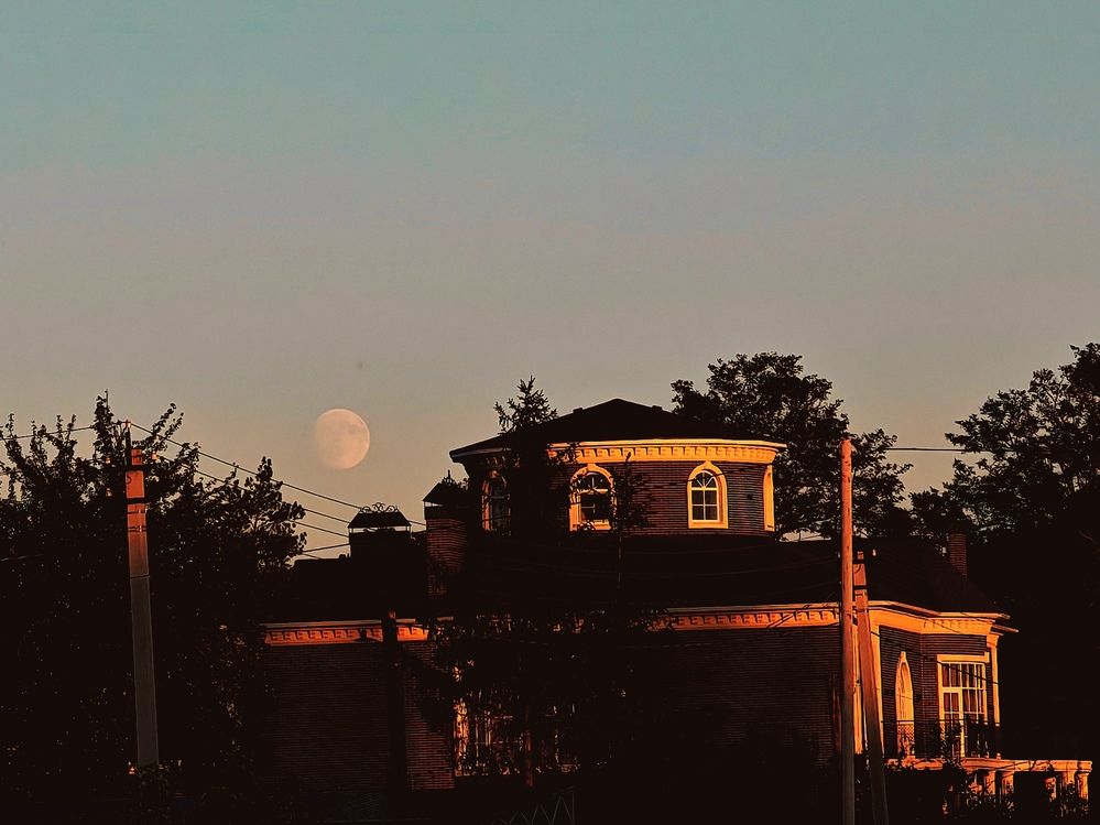 Фотография автора OXANA NAUMOVA