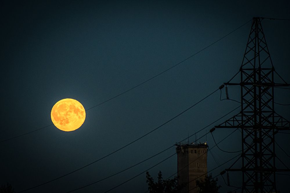 Photograph by Елена Берсенёва