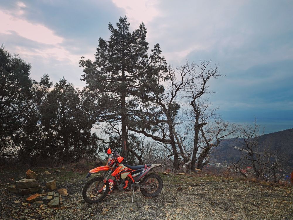 Фотография автора OXANA NAUMOVA