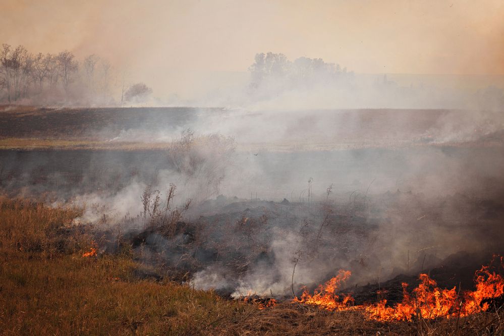 Photograph by Юлия Носова