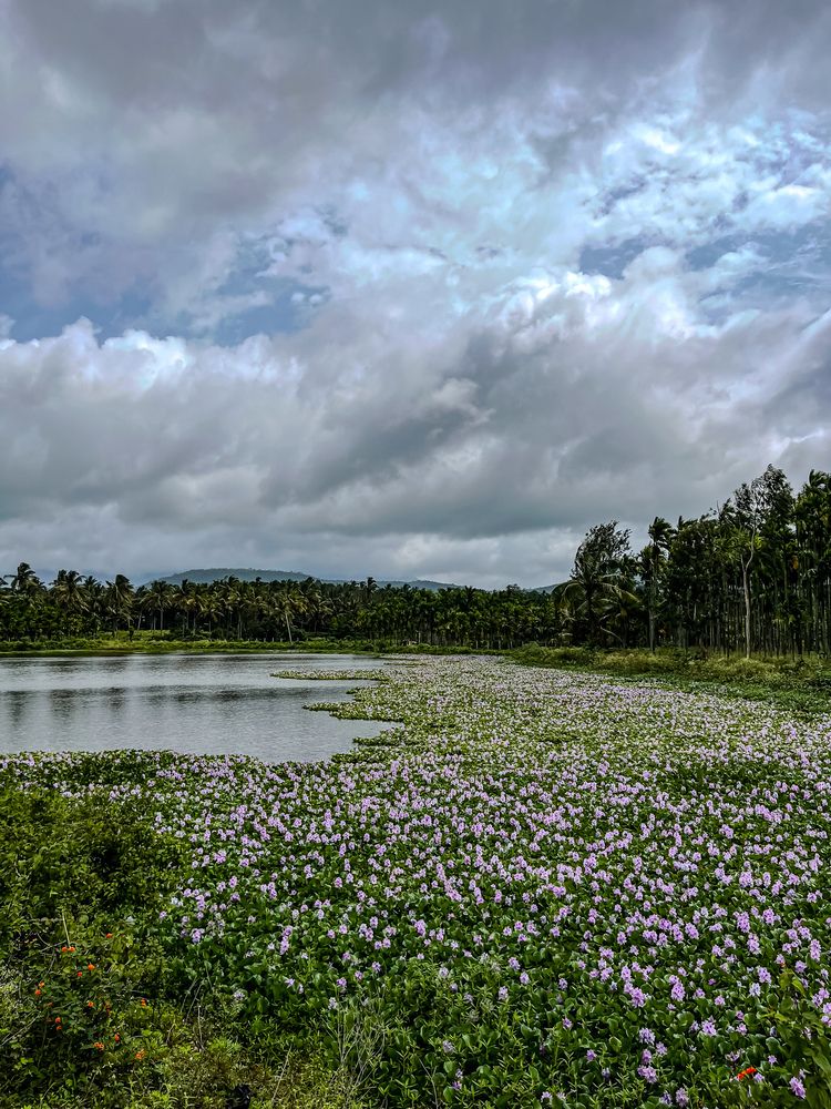 Photograph by Jaspreet Singh