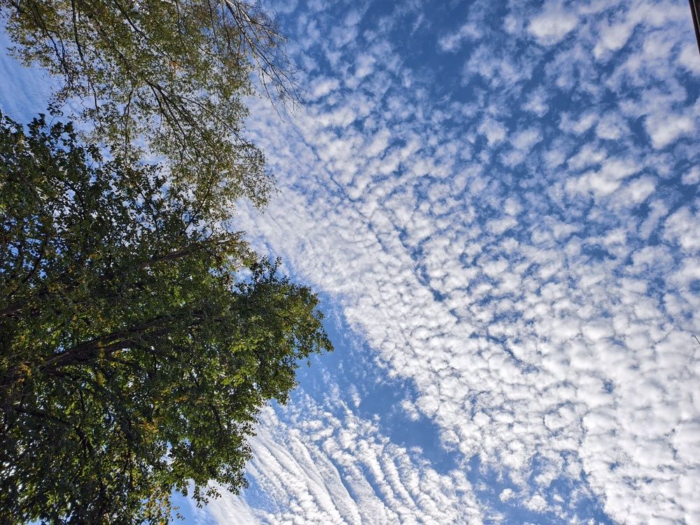 Photo #12555963