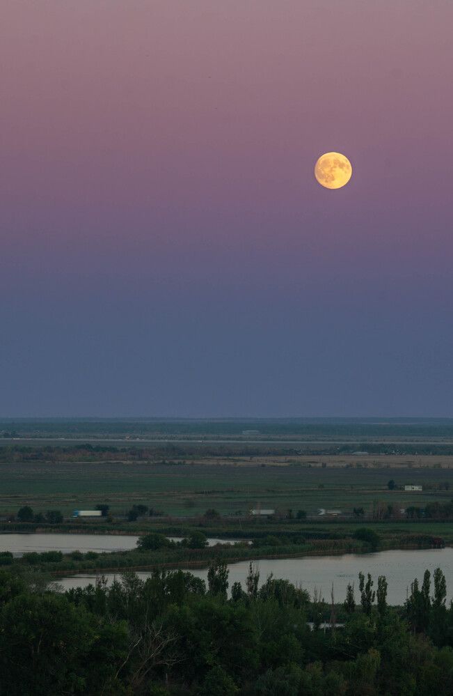 Photograph by Ростислав Остащенко