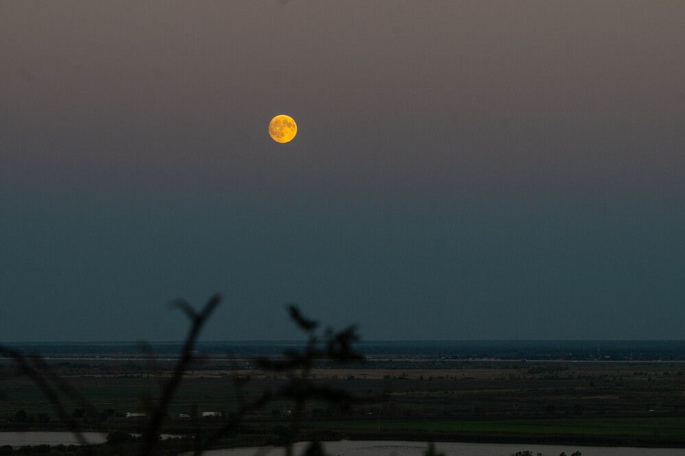 Photograph by Ростислав Остащенко