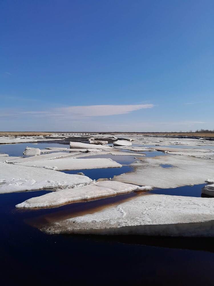 Photograph by Виталий Глазачев