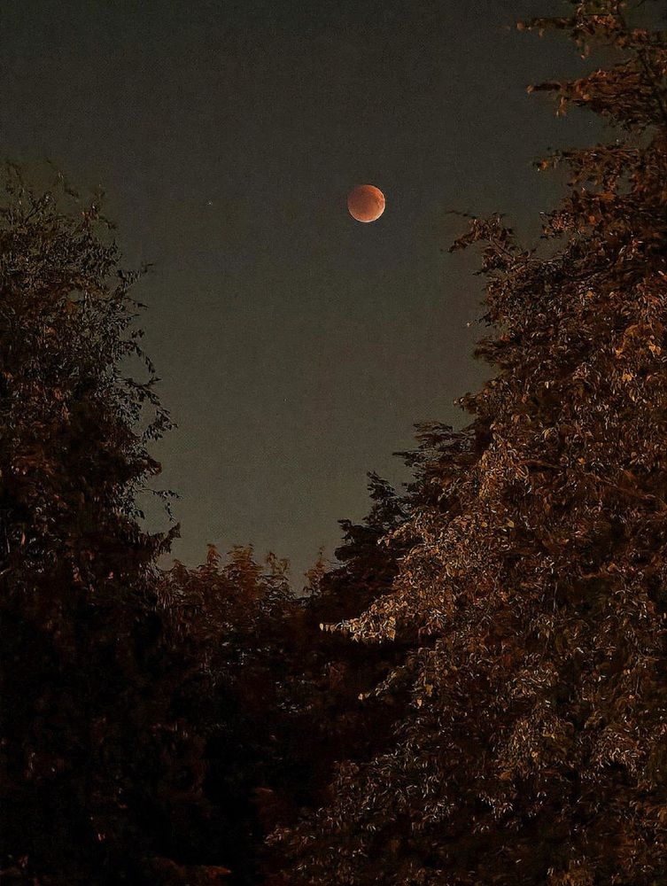 Фотография автора Natalya Firsova