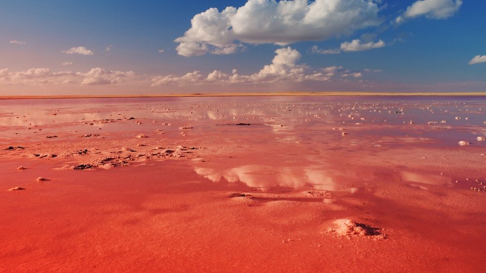 Photograph by Яна Истоцкая