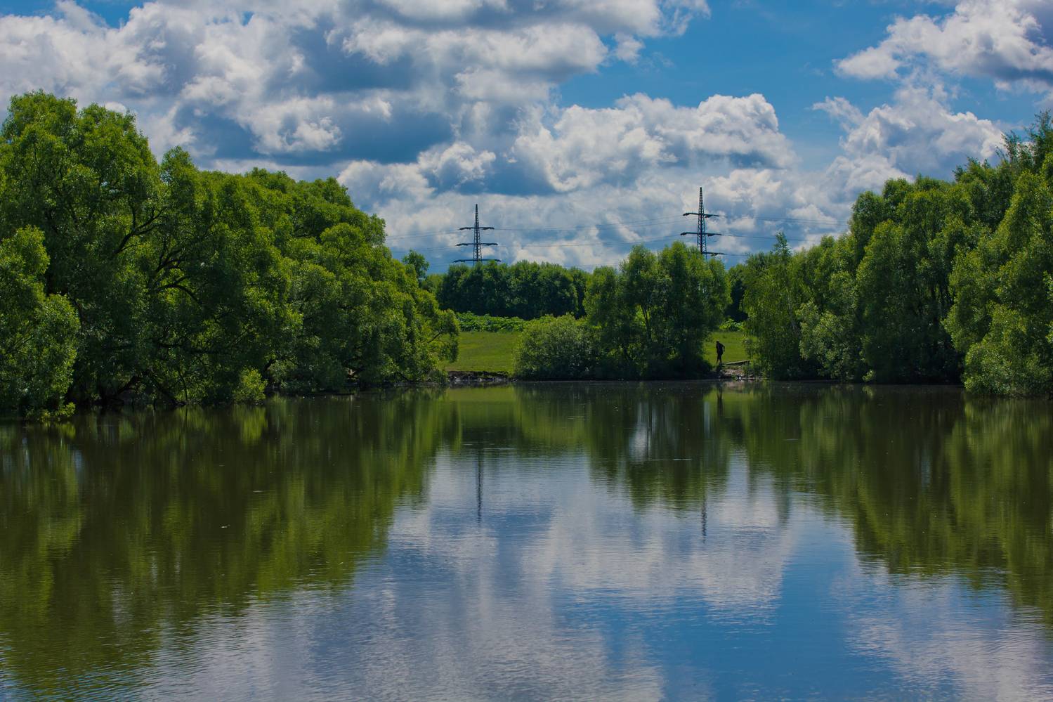 Фотография #12556017