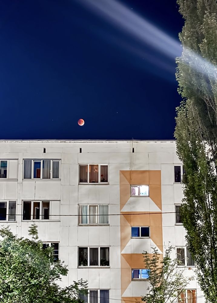 Фотография автора Карина Даутова