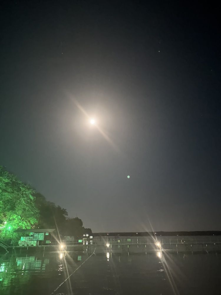 Photograph by Бойкова Наталия