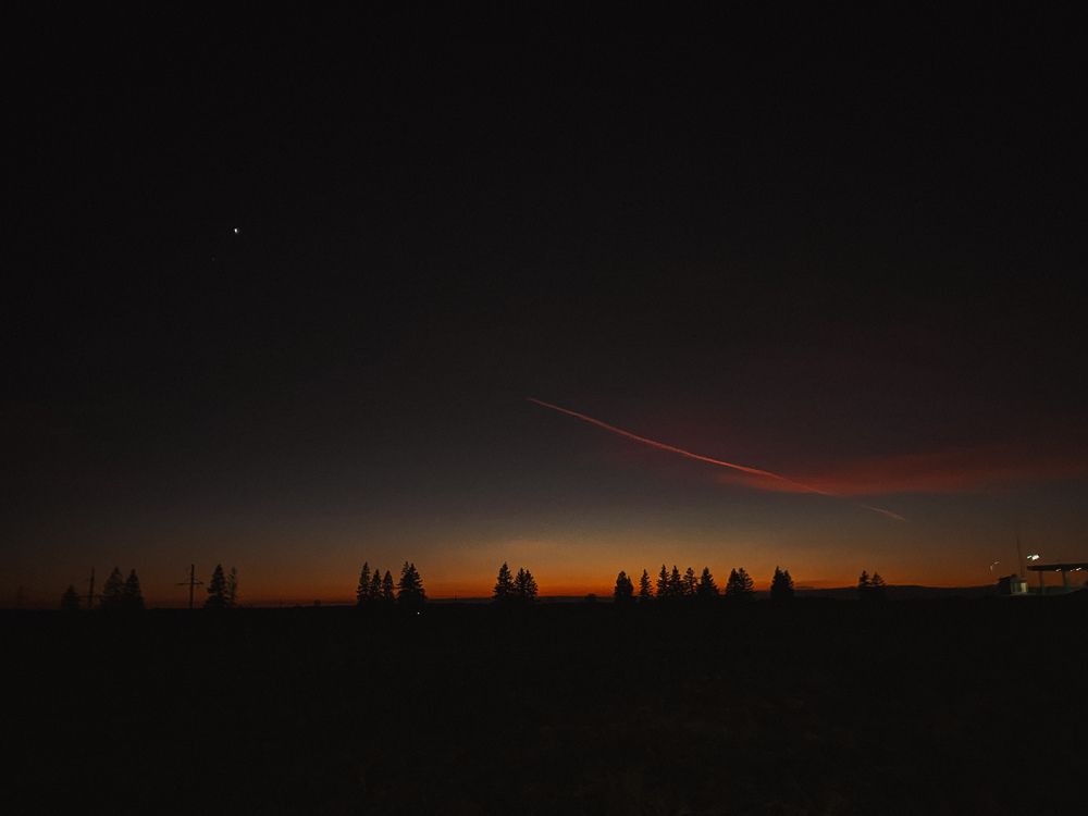 Photograph by Светлана Долганова