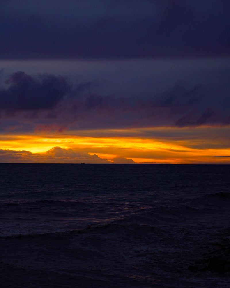 Photograph by Muhammed Junaid A P