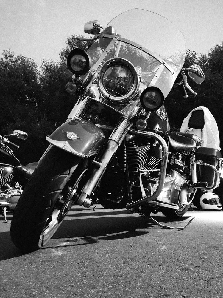 Photograph by Евгения Гродинская