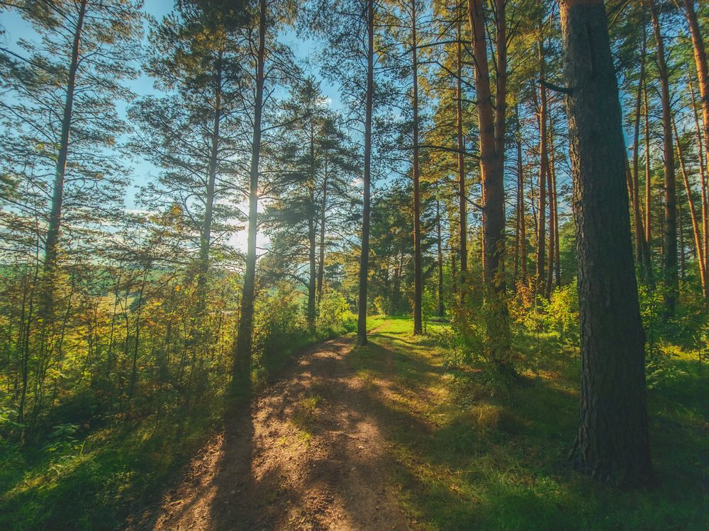 Photograph by Кирилл Сидоров