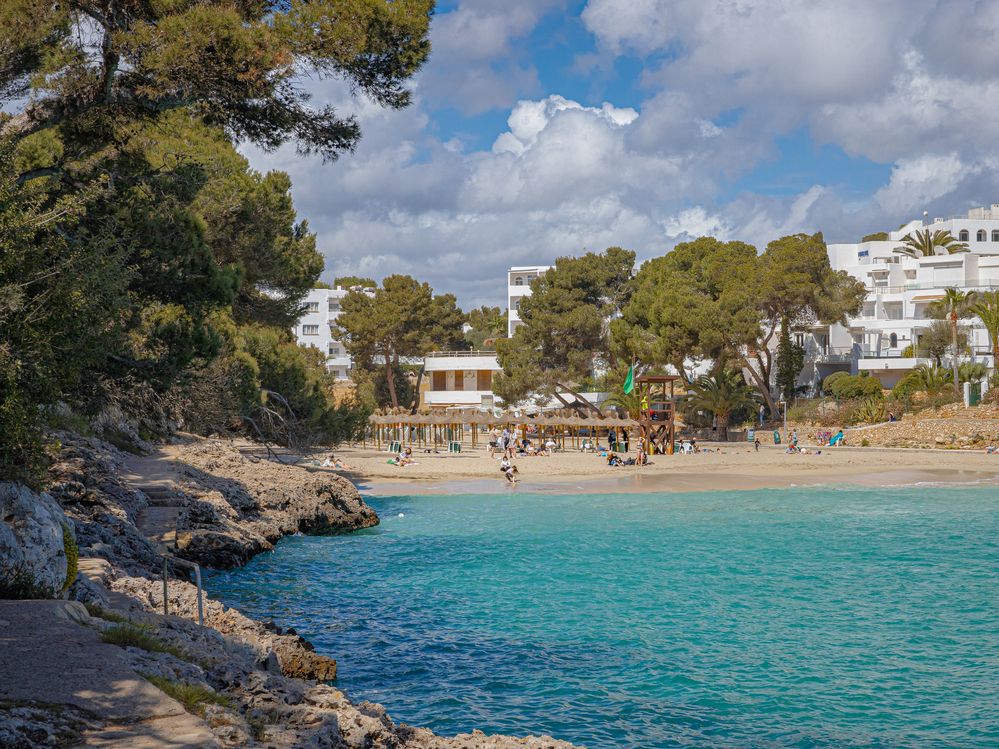 Фотография автора Dr_Plat