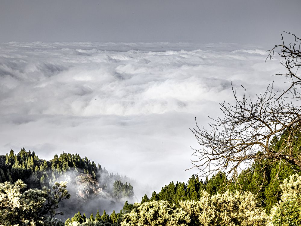 Фотография автора Dr_Plat