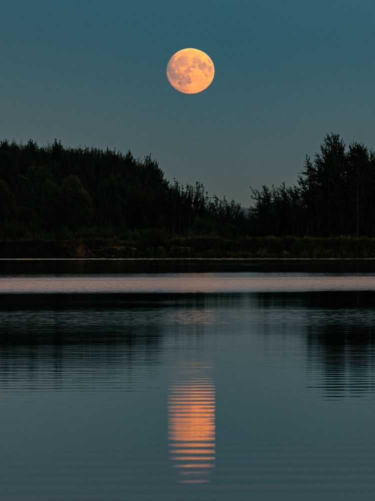 Photograph by Игорь Криулин