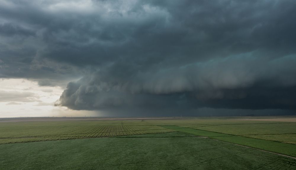 Photograph by Alexandru George