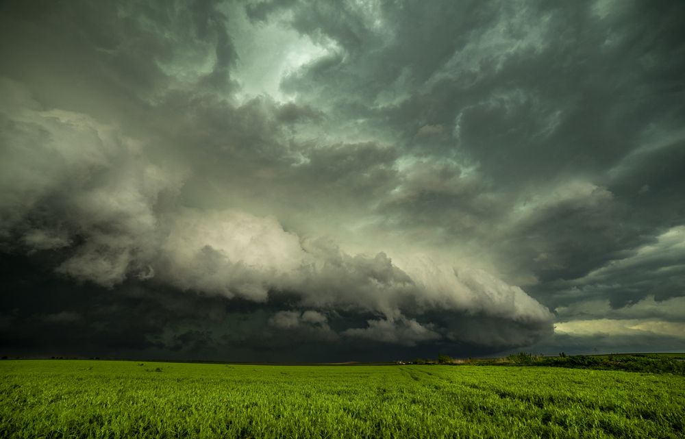 Photograph by Alexandru George