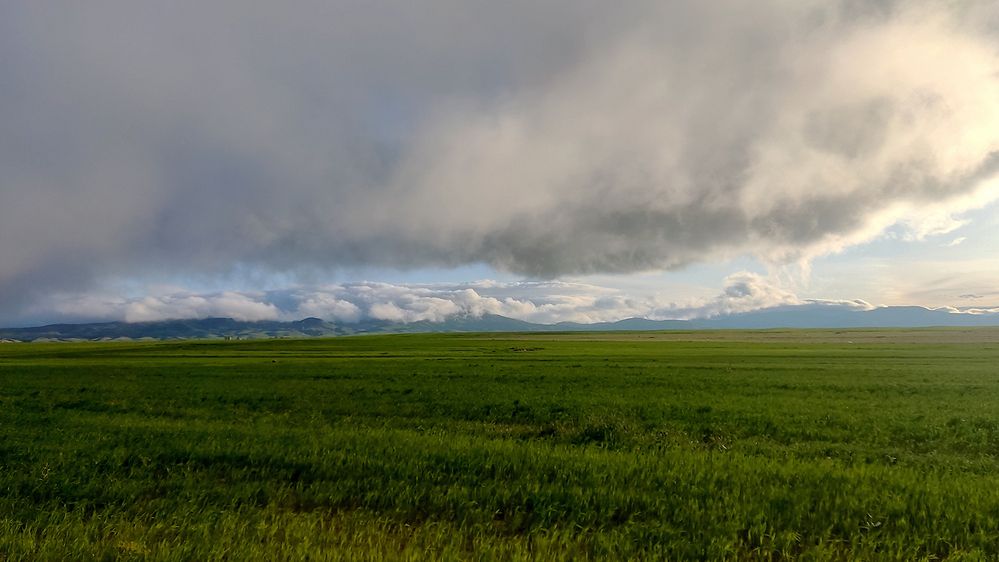 Photograph by Javad Tafti Farashah