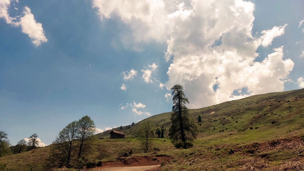 Photograph by Javad Tafti Farashah