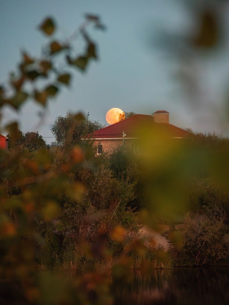 Photograph by Анна Любимова