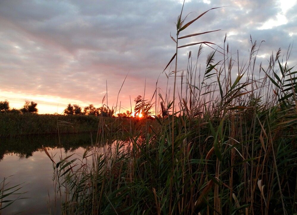 Фотография автора Сергей Денисенко