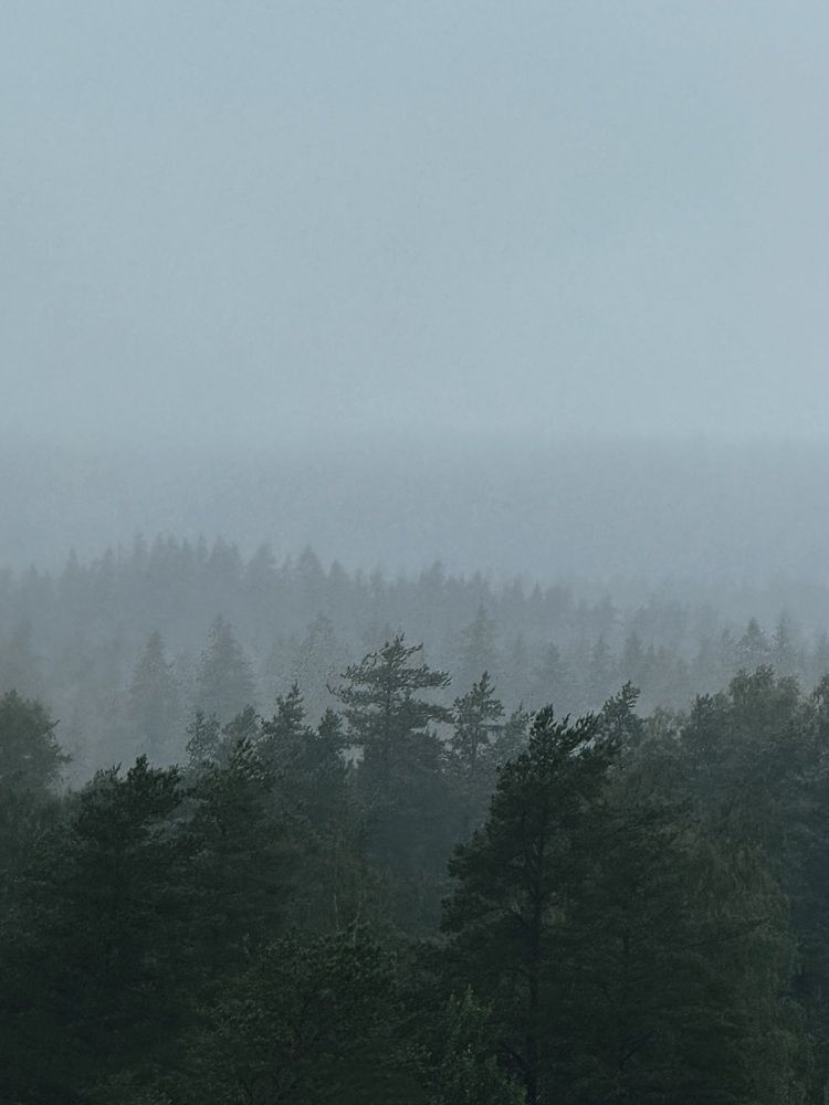 Photograph by Katerina Nikolaeva