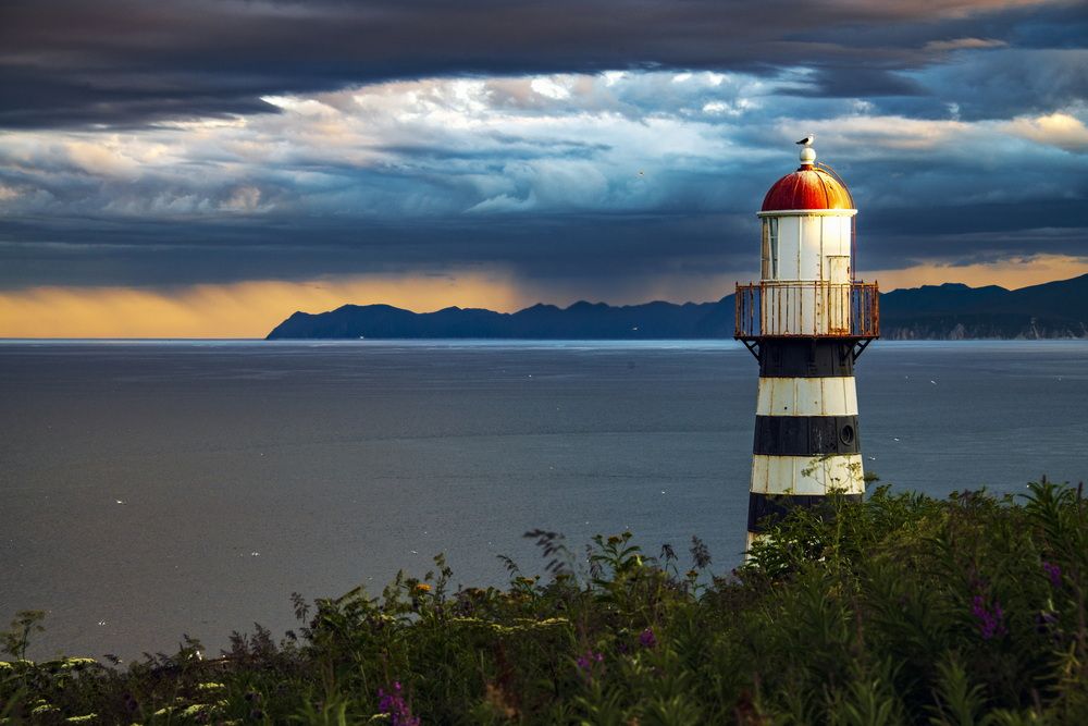 А вдали дождь...