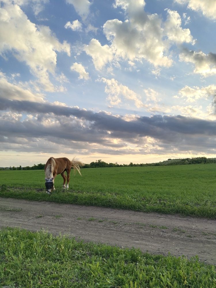 Photograph by Ольга Чернова