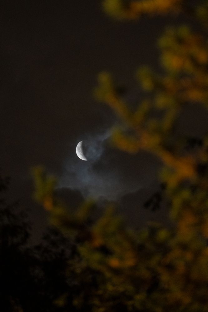 Photograph by Olesya Vladimirova