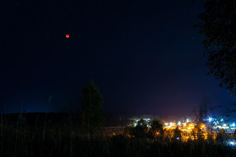 Фотография автора Aamoda Kitchen