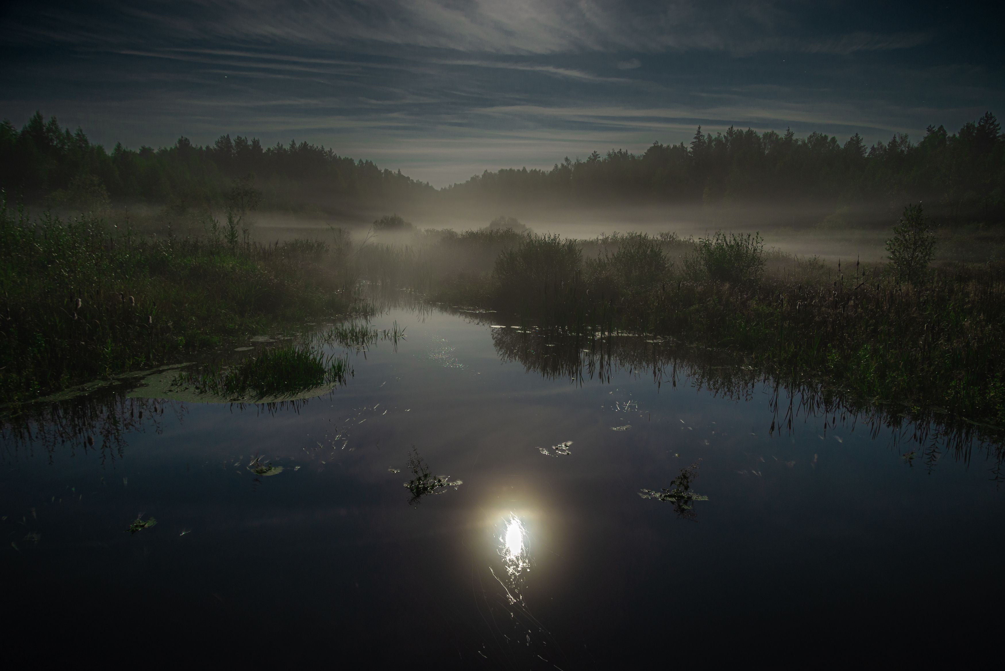 Photograph by Кокорин Алексей