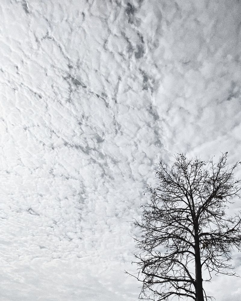 Фотография автора Евгения Никишина