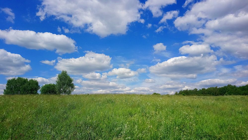 Photograph by Виктория Лаврова