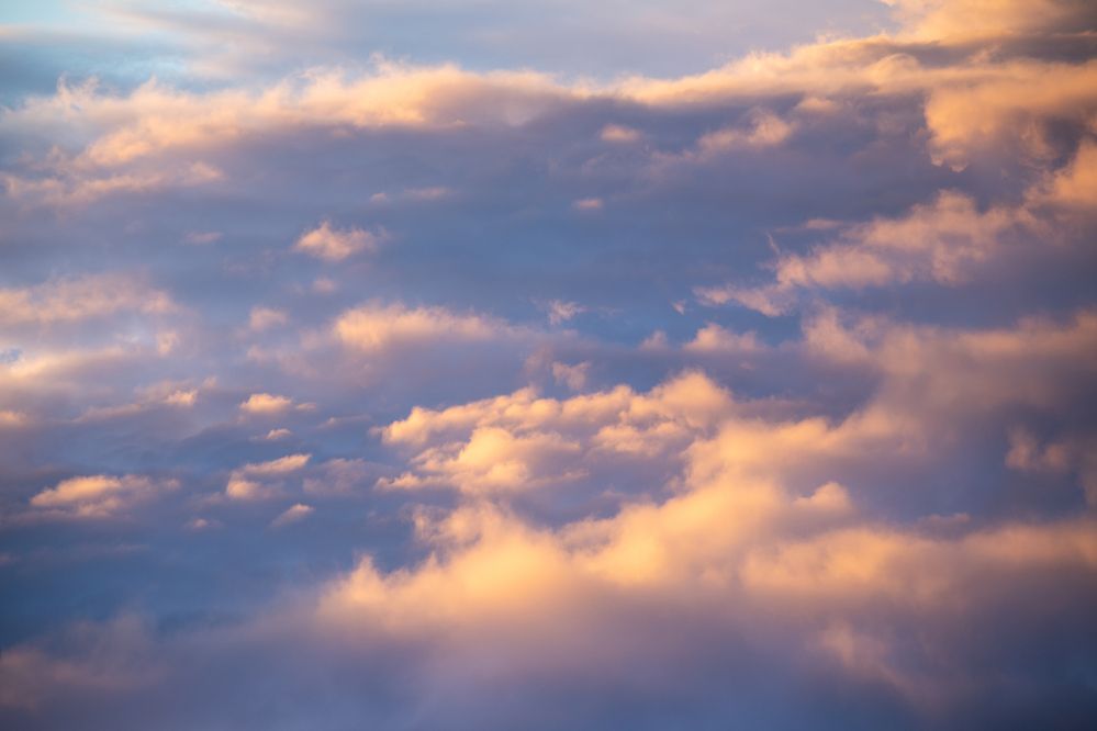 Photograph by Галина Молчанова