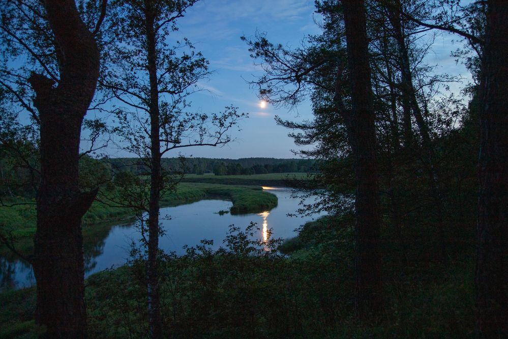 Photograph by Галина Молчанова