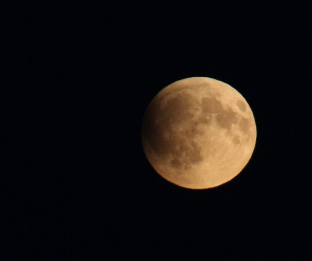 Photograph by АЛЛА ТАРАСЕНКО