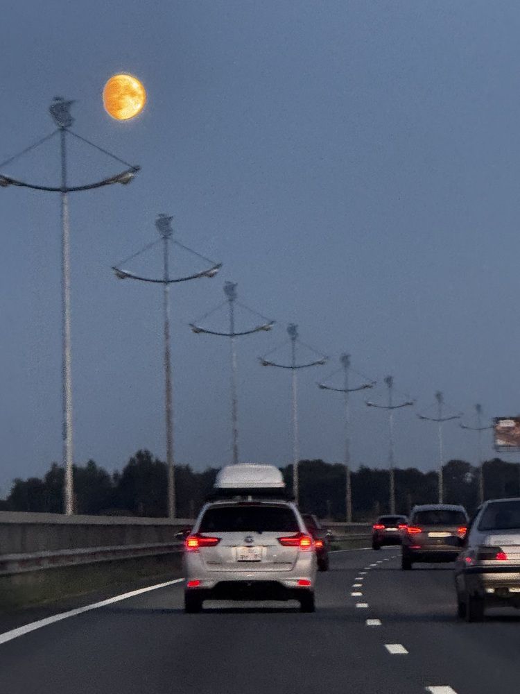 Photograph by Аверьянова Наталья